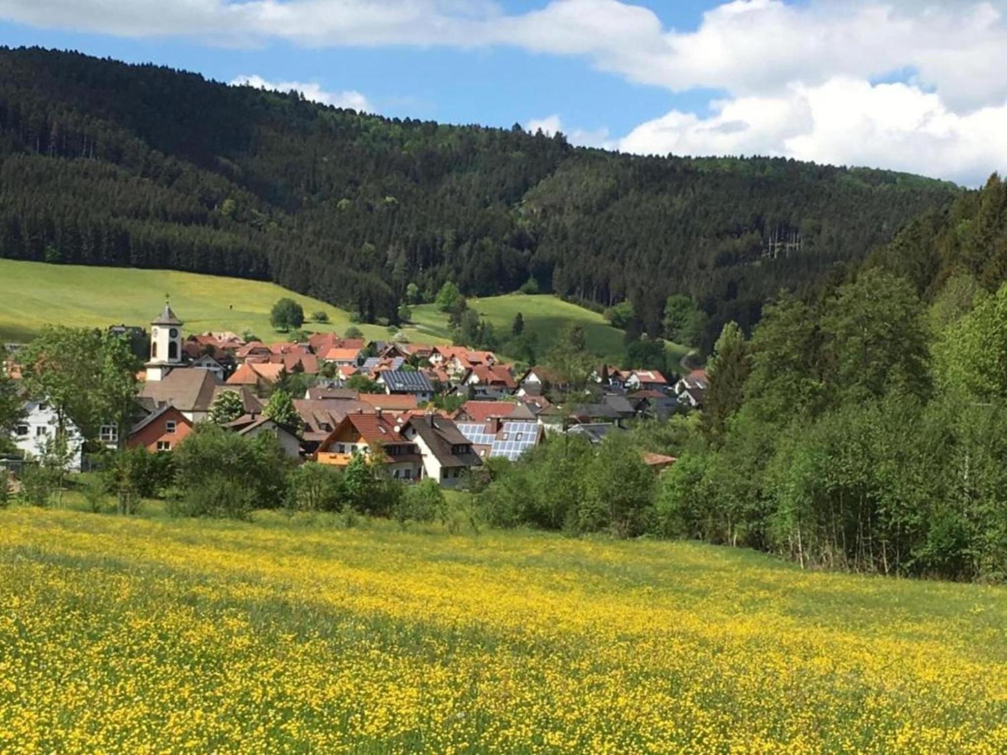 Charming Apartment In Regelsbach Near City Centre Schuttertal 외부 사진