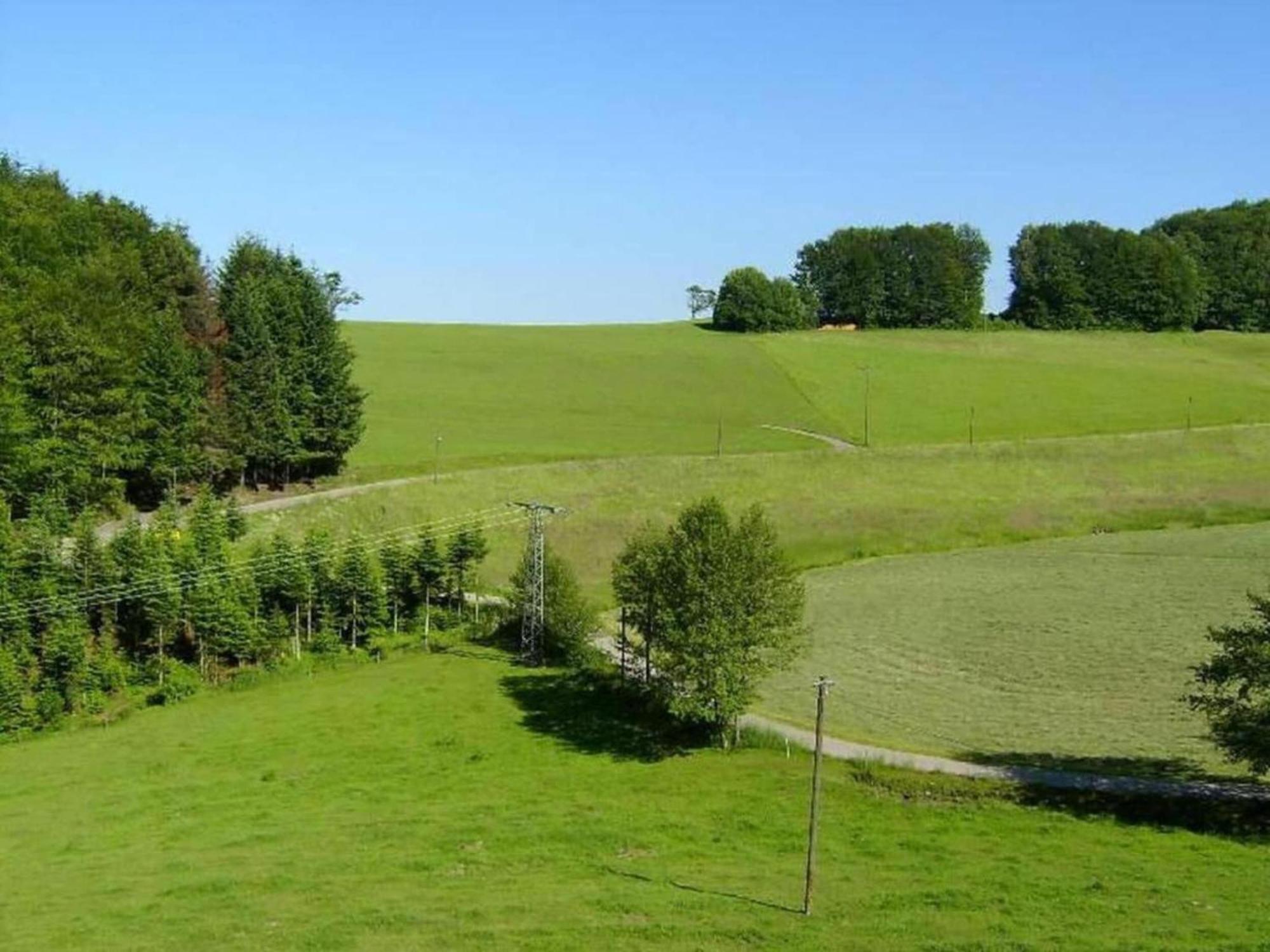 Charming Apartment In Regelsbach Near City Centre Schuttertal 외부 사진