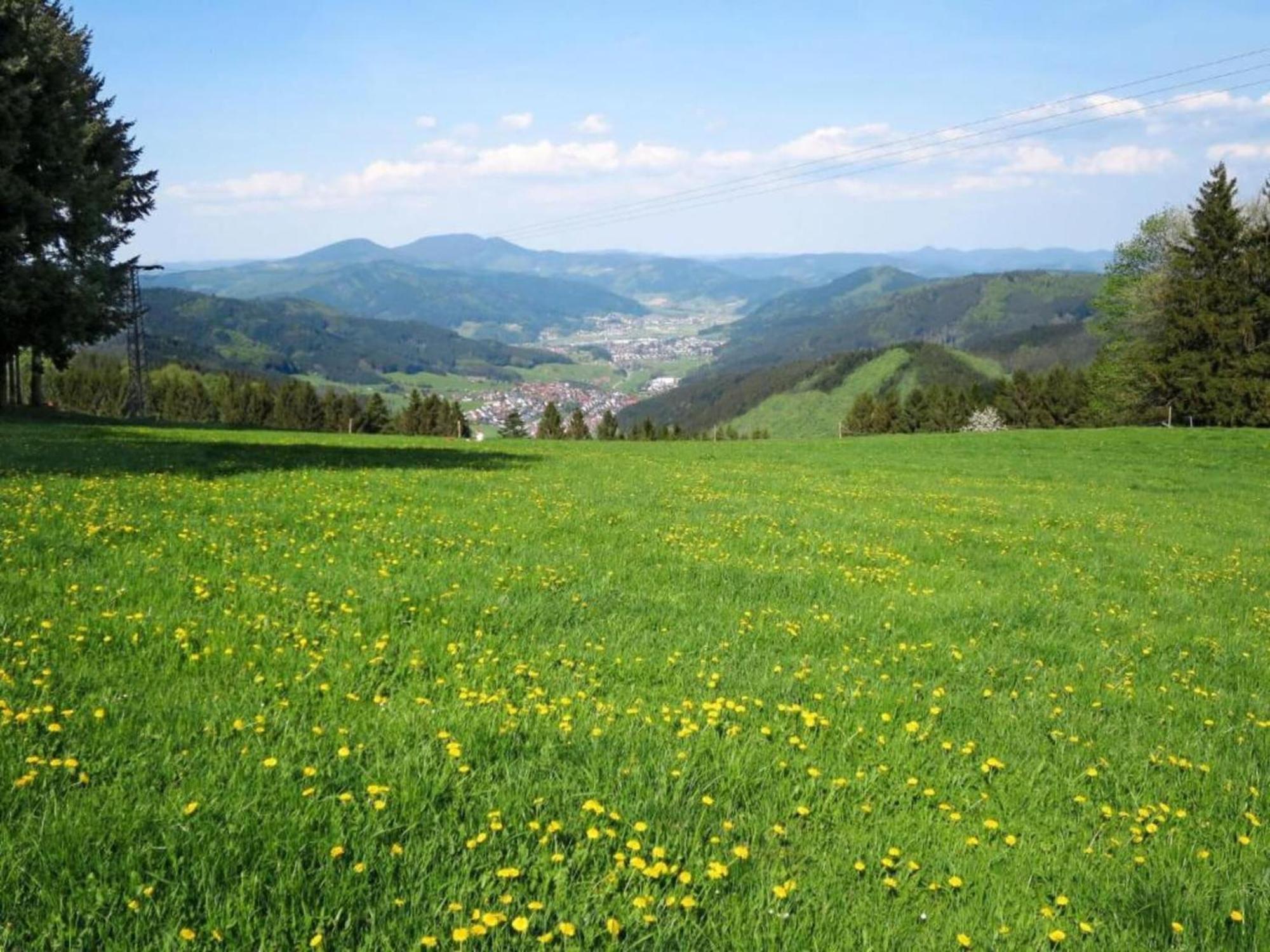 Charming Apartment In Regelsbach Near City Centre Schuttertal 외부 사진