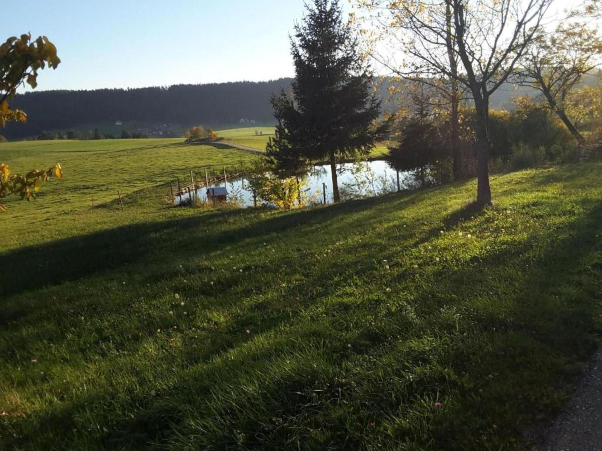 Charming Apartment In Regelsbach Near City Centre Schuttertal 외부 사진